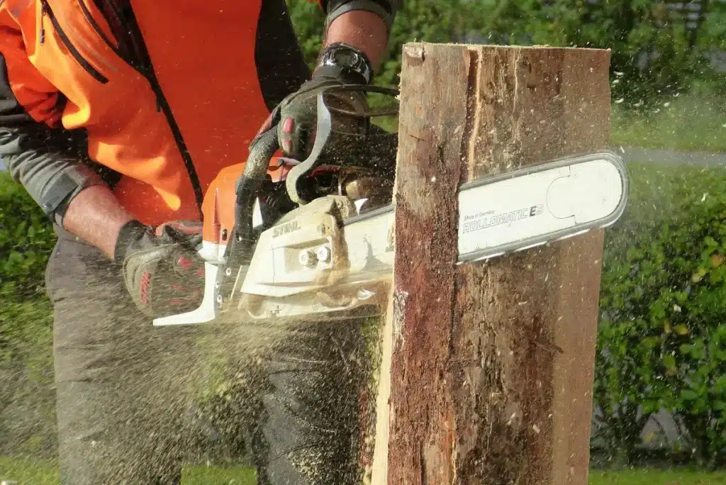 Tree Removal 2